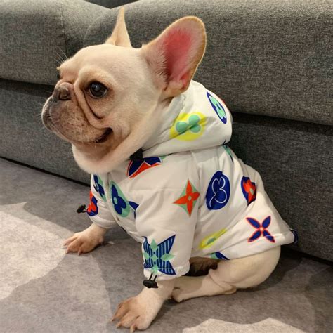 fake designer dog clothes uk|luxury doggie clothing uk.